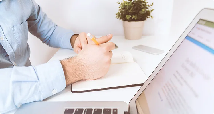 Standout New and Trending WordPress Themes - 开云
